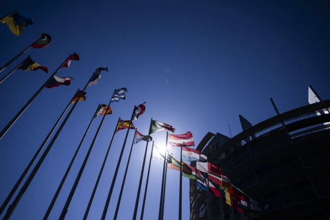 Vlajky, ilustrační snímek. Foto: Evropský parlament