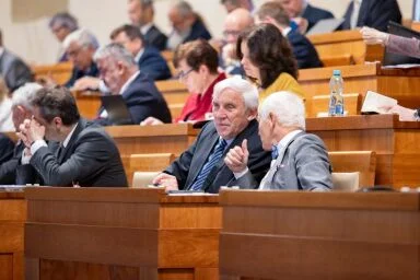 Jednání Senátu: Foto: Senát Parlamentu České republiky