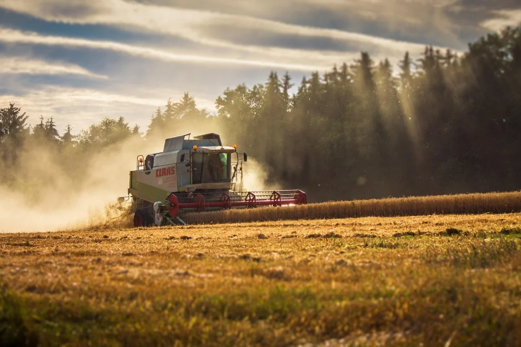 Sklizeň. Ilustrační snímek. Foto: Pixabay