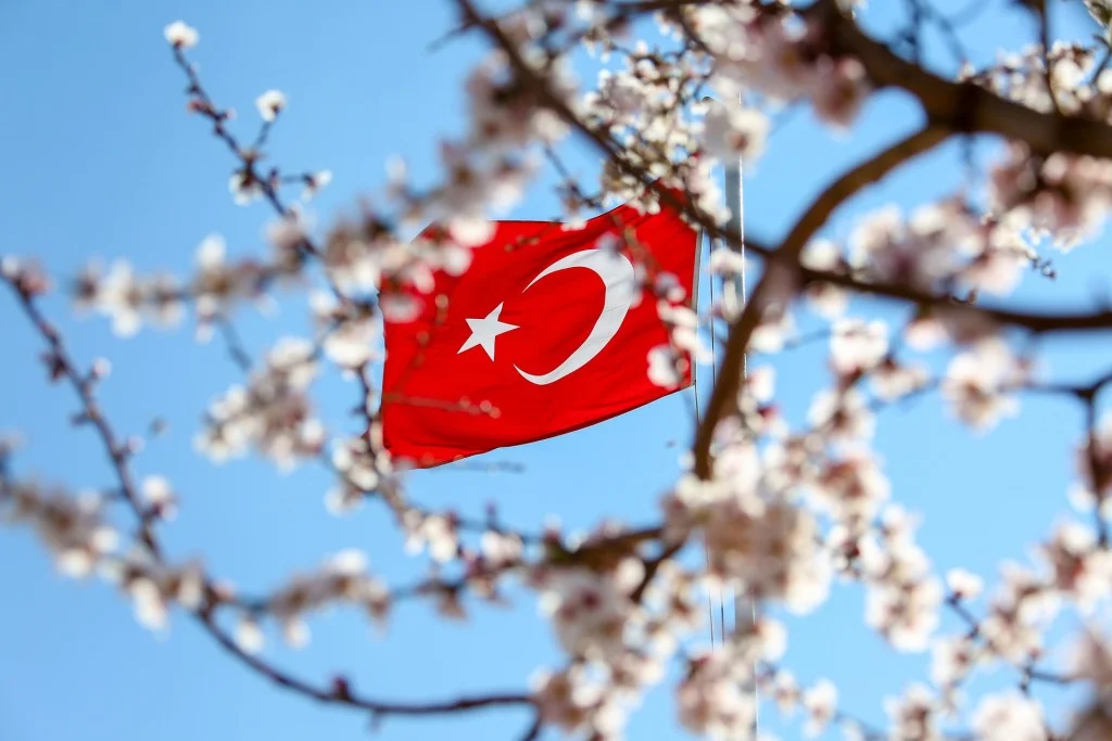 Turecko je připraveno hostit mírová jednání mezi Kyjevem a Moskvou, řekl Erdogan. Foto: Pixabay