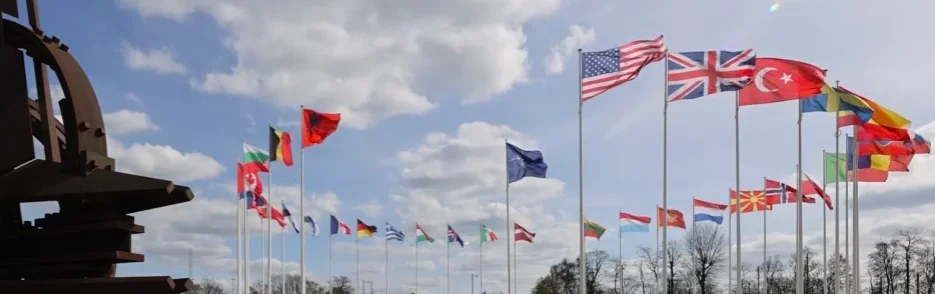 NATO členové vlajky
