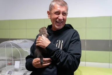 Babiš