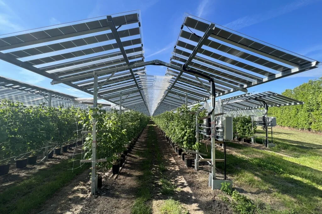 solární panely pole sady