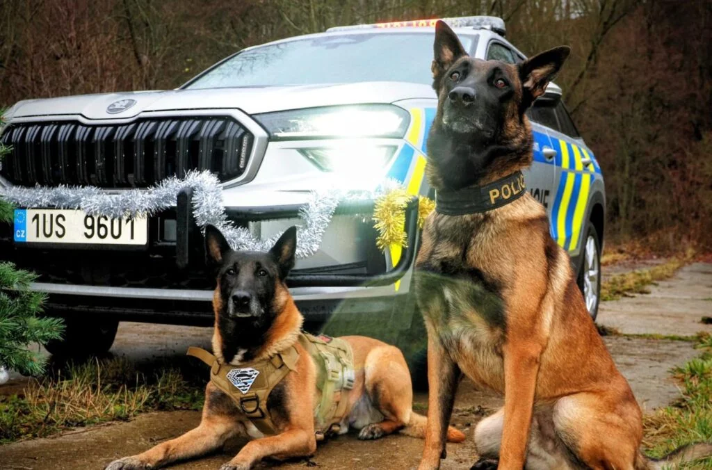 22 400 korun od dneška. Minimální mzda táhne platy nahoru