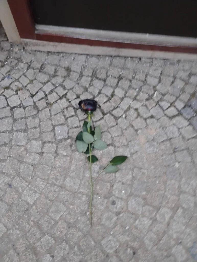 útok černá růže