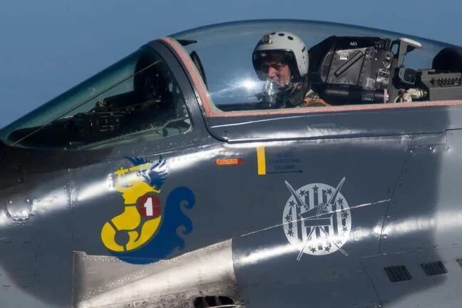 MiG-29 pilot