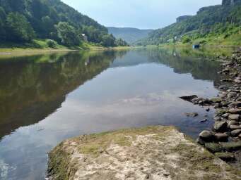 Labe