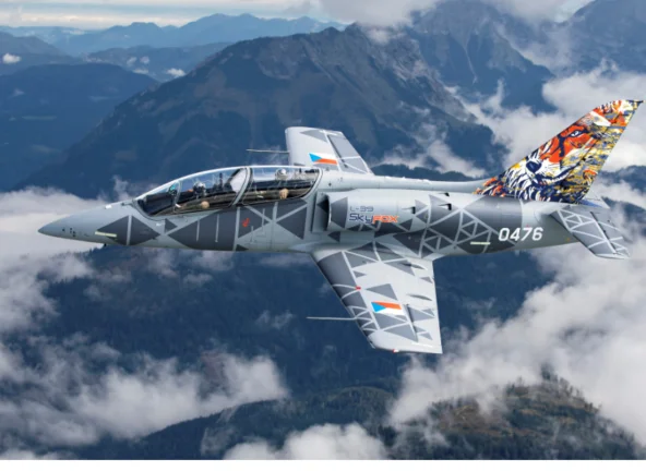 Skyfox lovec dronů