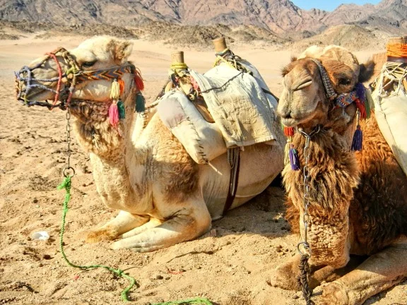 Egypt