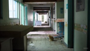 Některé části nemocnic jsou opuštěné.. Foto: YouTube Channel 4 News