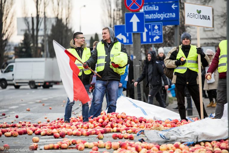 Ruské embargo na dovoz potravin z Evropské unie stále trápí české i polské zemědělce