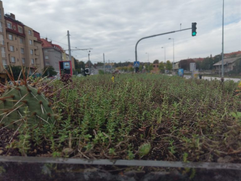 První zastávka se zelenou střechou v metropoli. Praha drží krok se světem