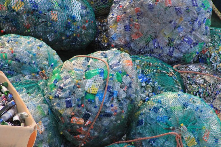 Výrobci papírových obalů varují: Navrhované změny v novém nařízení Evropské unie by mohly způsobit tsunami plastů